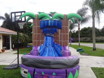 紫色の楽園プール/大人の膨脹可能の膨脹可能な水スライドはスライドをぬらしました