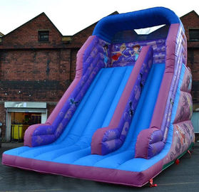 inflatable Dry Slide の Faires のスライドの紫色の巨大な弾力があるスライド 30ft の王女
