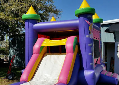1 基のコンボの跳ね上がりの家水スライドのコンボの普及したに付き紫色の城の王女 4 基