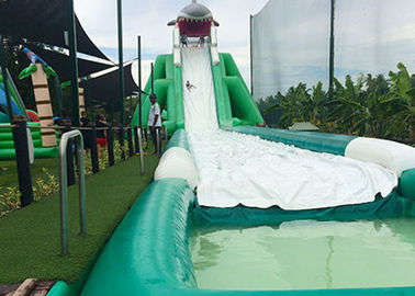 カバ プールが付いている大人、Comercialのスライド水スリップおよびスライドのための巨大で膨脹可能な水スライド