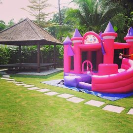 inflatable Bouncy Castle ピンクの王女は女の子の党のために、膨脹可能な跳躍城郭で囲みます