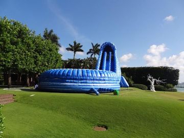 大きい遊園地またはでき事のための大きいサイクロン32ft高く大きく膨脹可能な水スライド