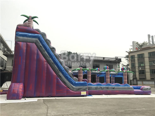 多彩な商業漫画プール大きい水スライドの使用料が付いている膨脹可能な水スライド