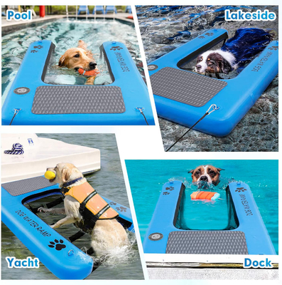 犬を水から外に出させるための充電式ランプ プール プール,ボート,ドック