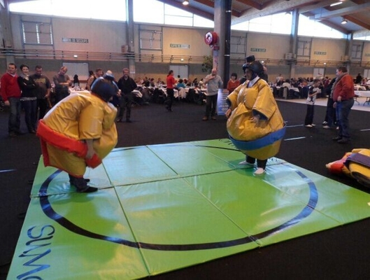 防水シートの膨脹可能な相撲苦闘することは相互スポーツのゲームに適する