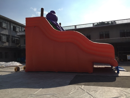 大人のサイズ0.9mmポリ塩化ビニール膨脹可能な水スライドの跳躍の城のスライド