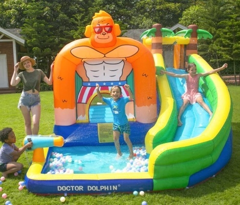 しぶきのプールが付いている幼児水跳ね上がりの家のためのDolphin Inflatable博士水スライド