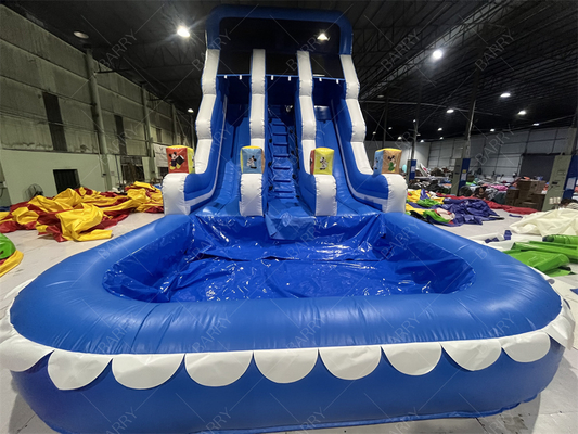 遊園地 屋外庭園 大きな子供 インフレータブル ダブル ウォーター スライダー ティーンエイジャー 裏庭