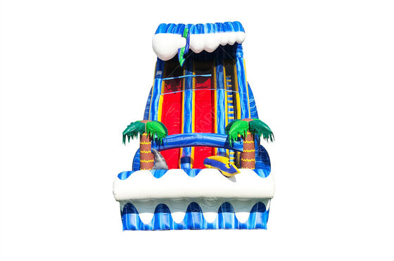 業務用大型屋外裏庭24フィートサメ目撃デュアルレーンスライド、子供と大人向け