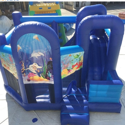 Bounce House With Slide EN71裏庭の膨脹可能な王女