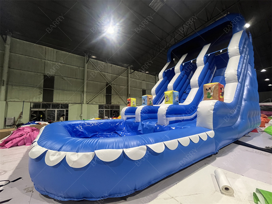 遊園地  屋外庭園  大きな子供  インフレータブル  ダブル  ウォーター  スライダー  ティーンエイジャー  裏庭